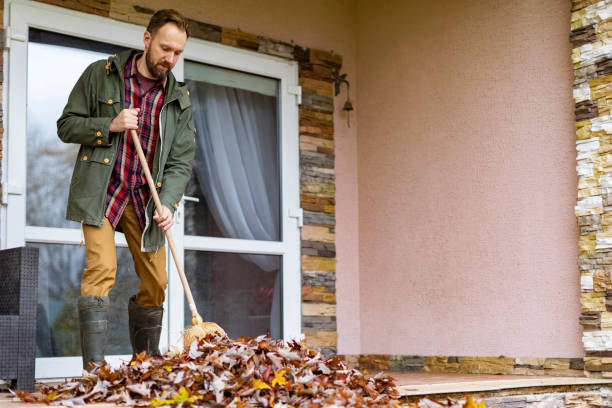 Best Dumpster Rental Services  in Pine City, MN