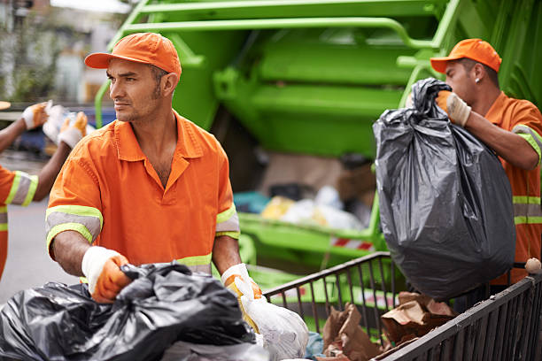 Best Yard Cleanup Services  in Pine City, MN